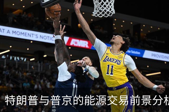 特朗普与普京的能源交易前景分析：法律与市场的双重挑战